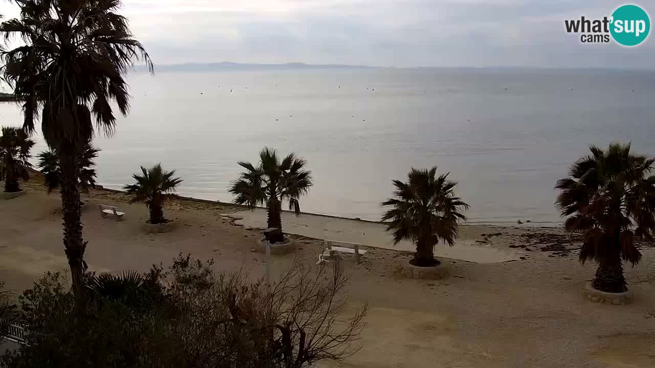 Livecam Vir beach – Dalmatia