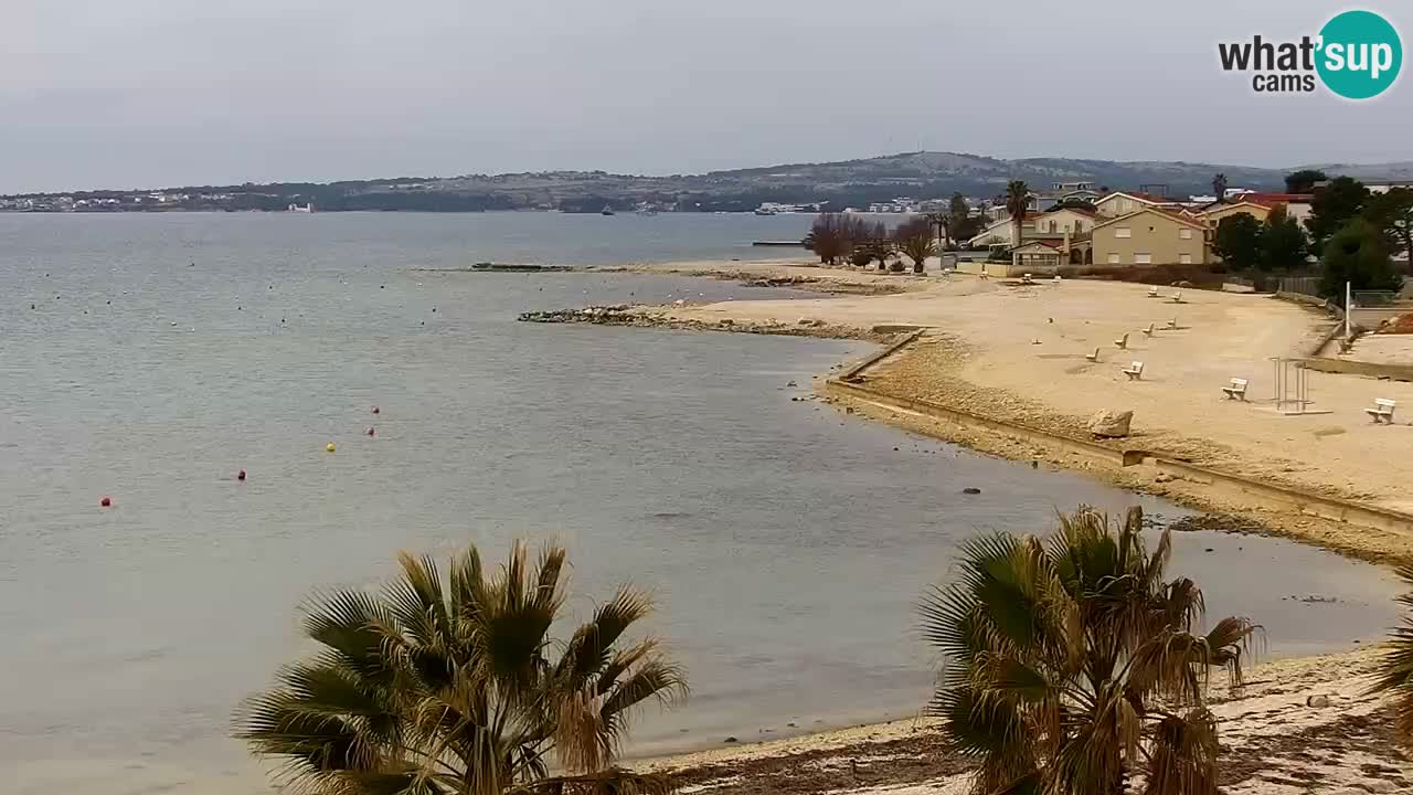 Livecam Vir beach – Dalmatia