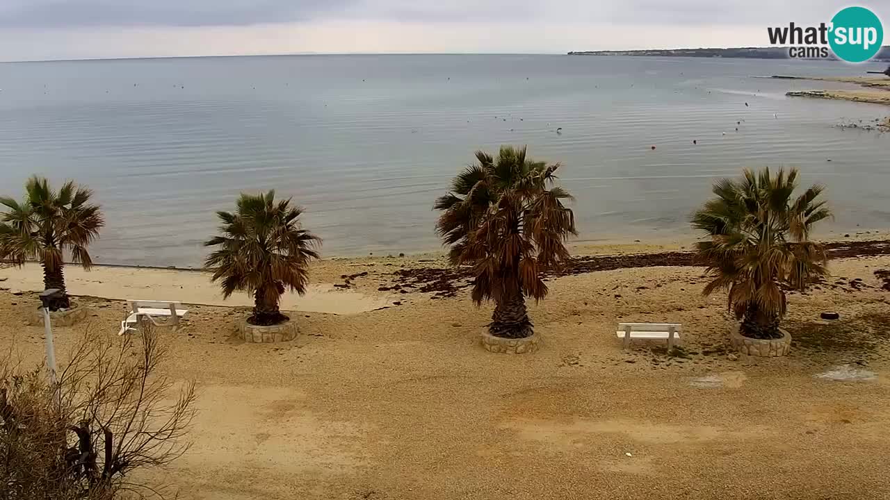 Livecam Vir beach – Dalmatia