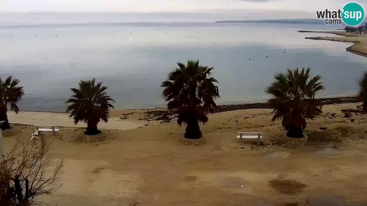 Livecam Vir beach – Dalmatia