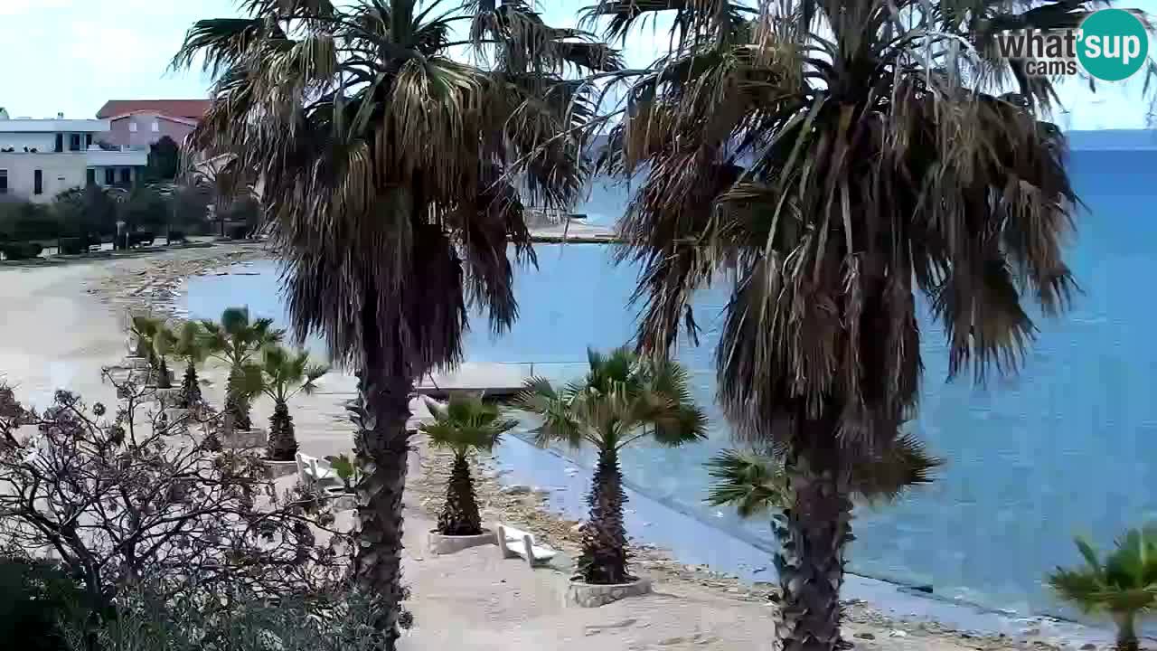 Livecam Vir beach – Dalmatia