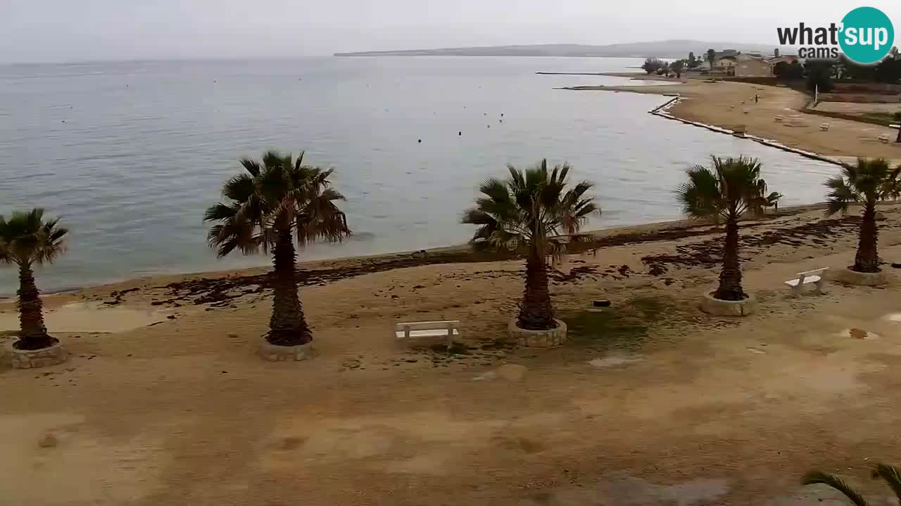 Livecam Vir beach – Dalmatia