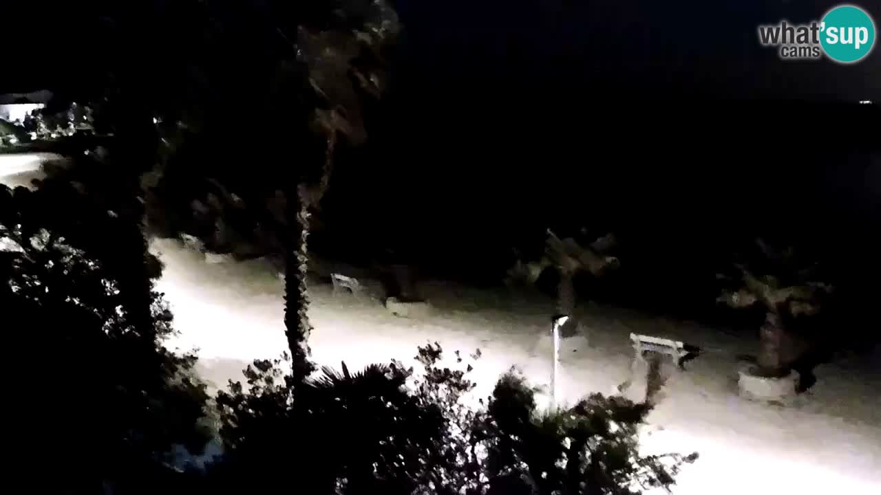 Livecam Vir beach – Dalmatia