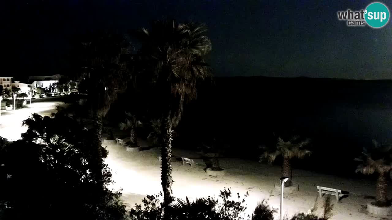 Web kamera Vir – Plaža