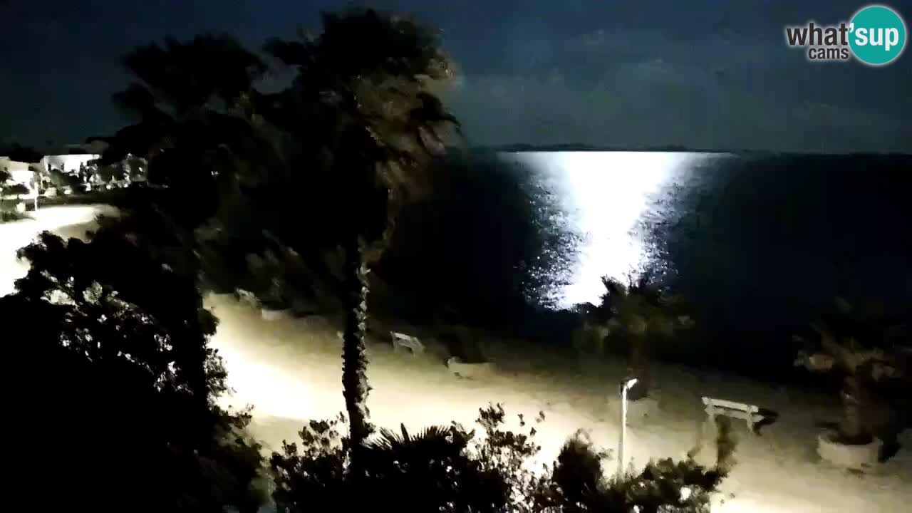 Live cam Vir – Plage