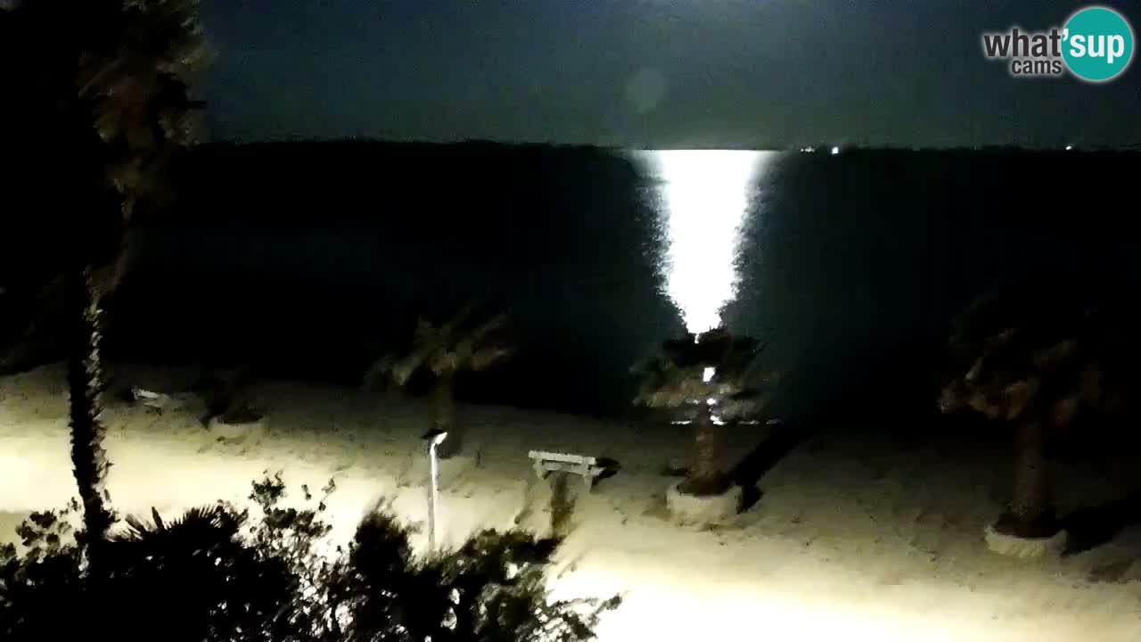 Livecam Vir beach – Dalmatia