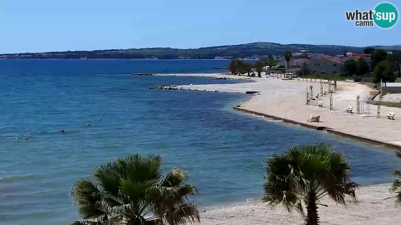 Live cam Vir – Plage