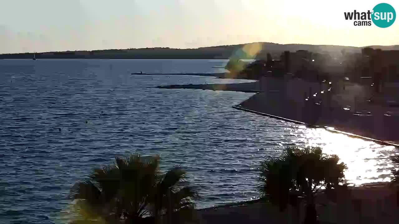 Livecam Vir beach – Dalmatia