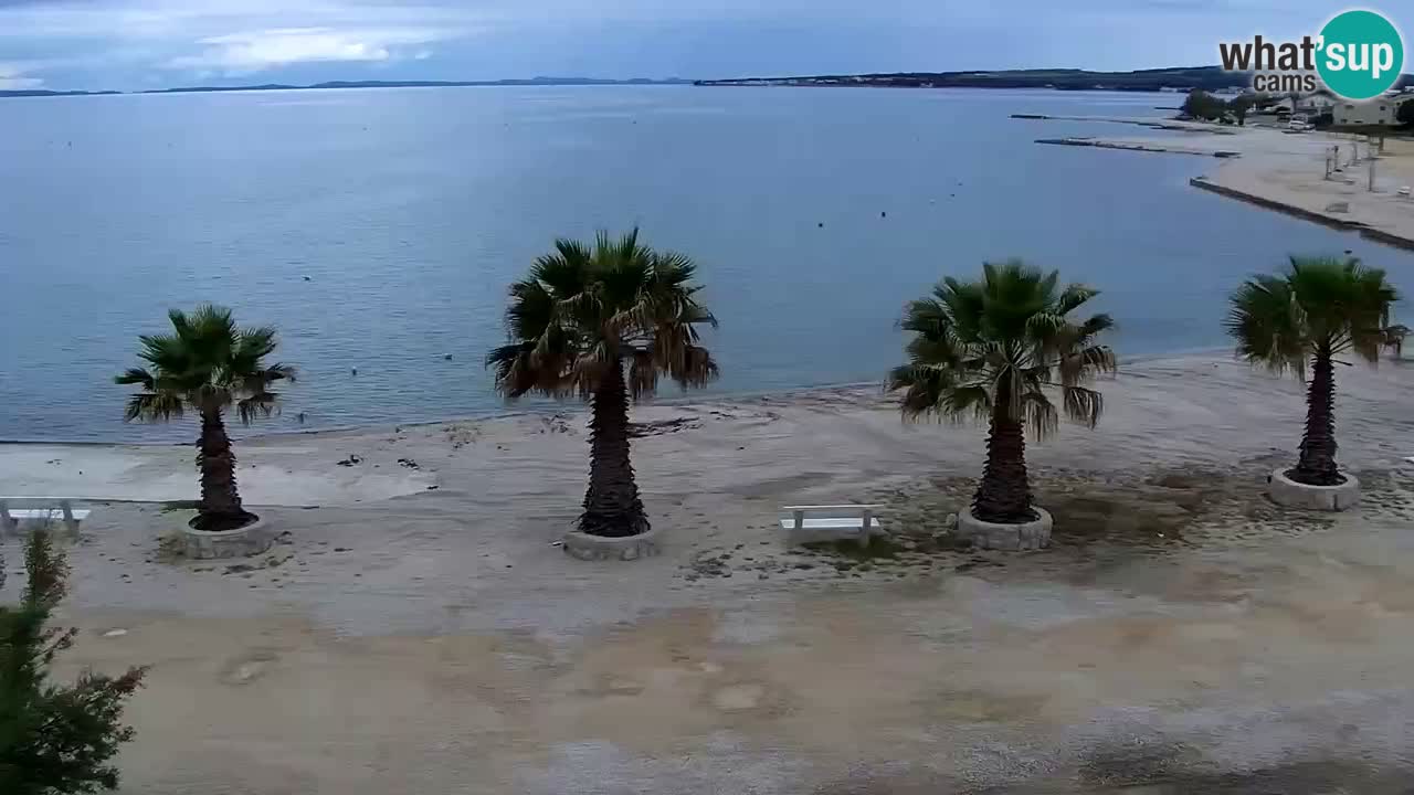 Livecam Vir beach – Dalmatia