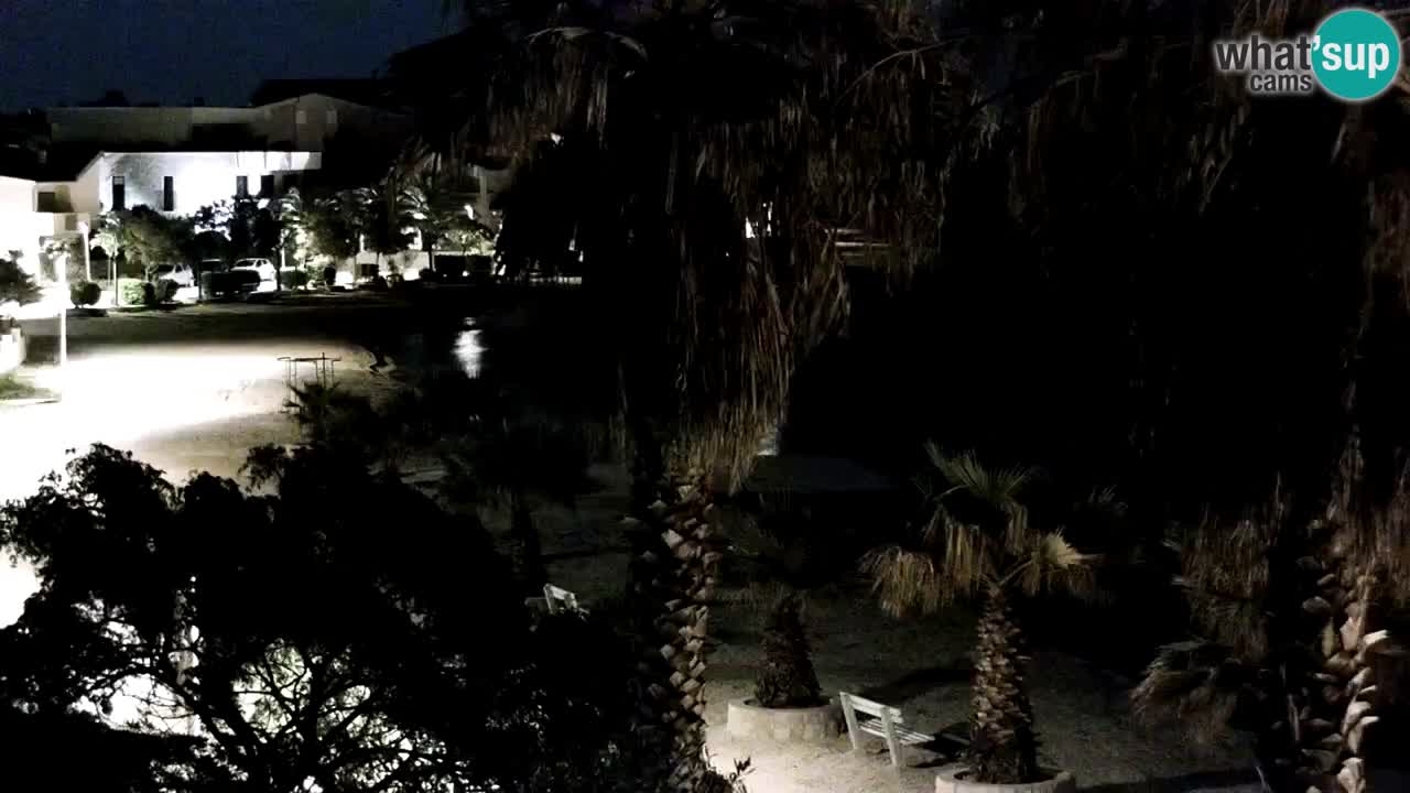 Livecam Vir beach – Dalmatia