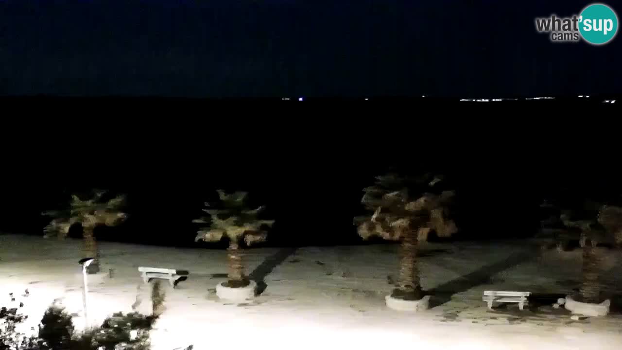 Livecam Vir beach – Dalmatia