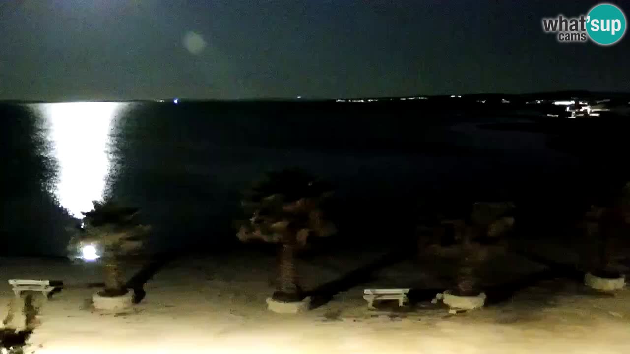 Kamera v živo Vir – Plaža