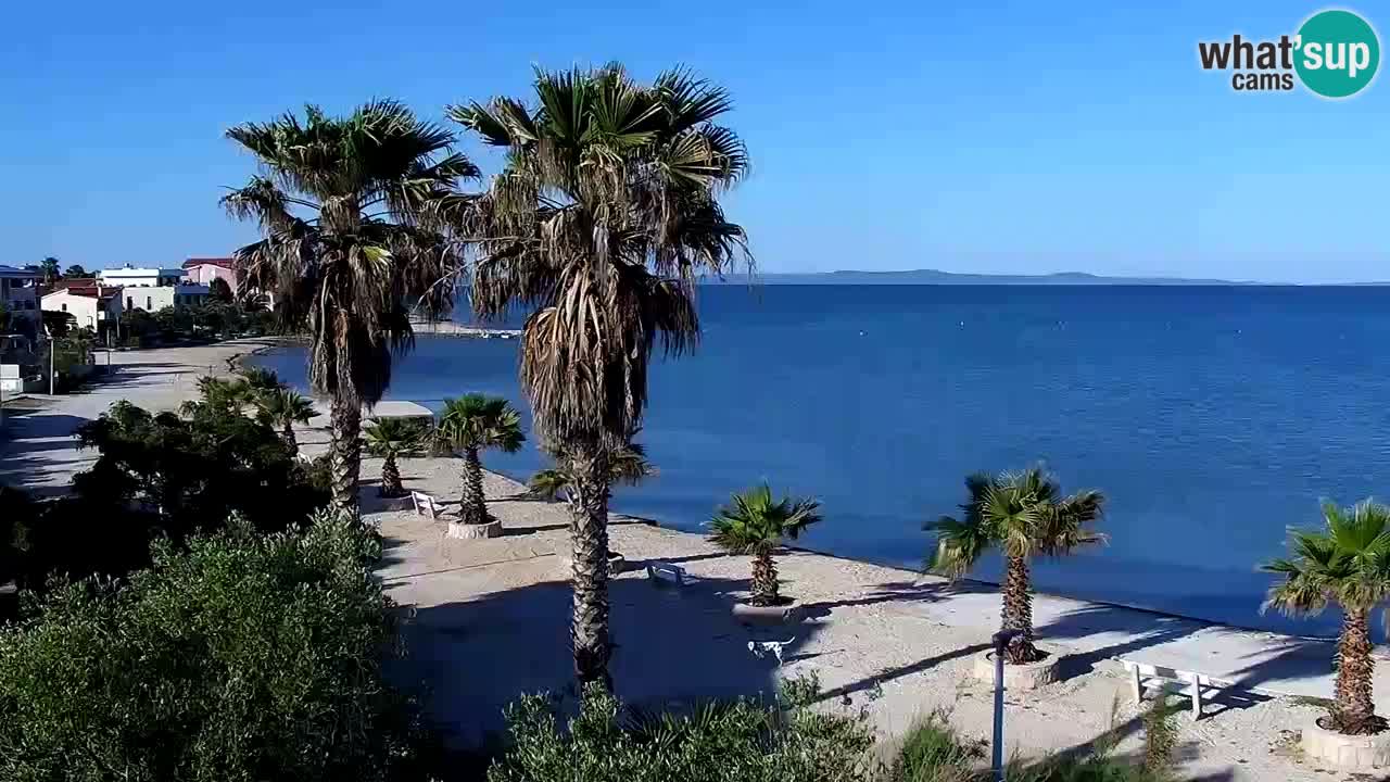 Webcam Vir – Spiaggia