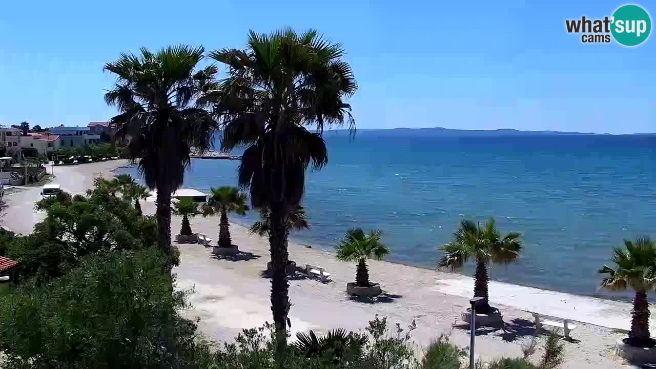 Live cam Vir – Plage