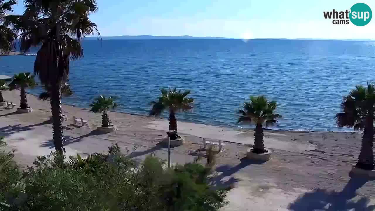Livecam Vir beach – Dalmatia