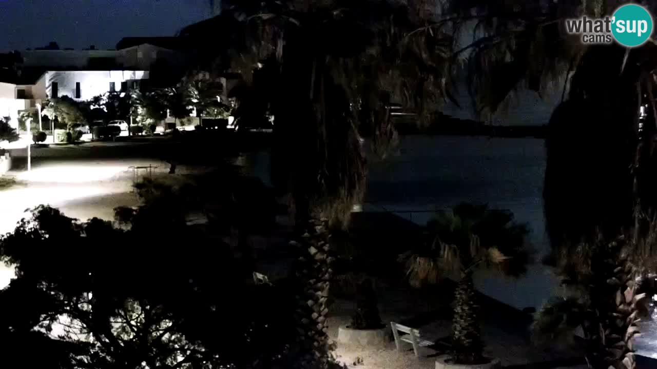 Livecam Vir beach – Dalmatia