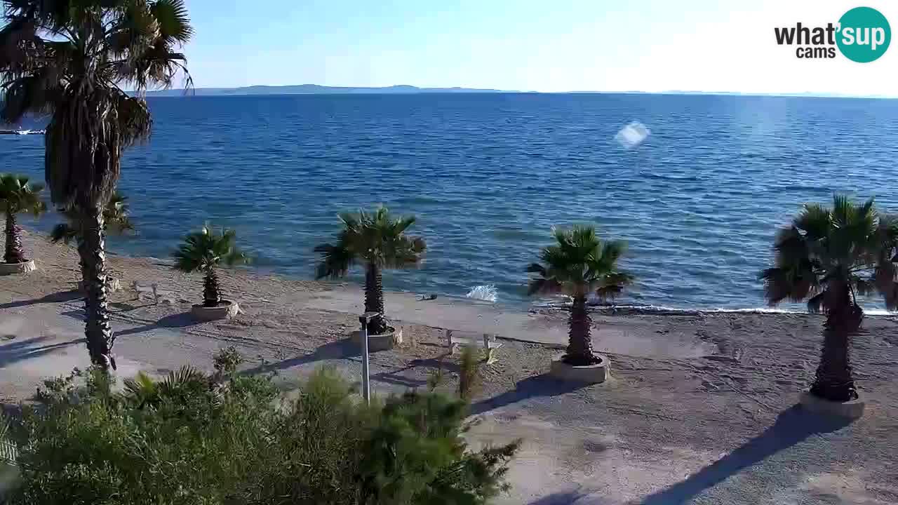 Live cam Vir – Plage