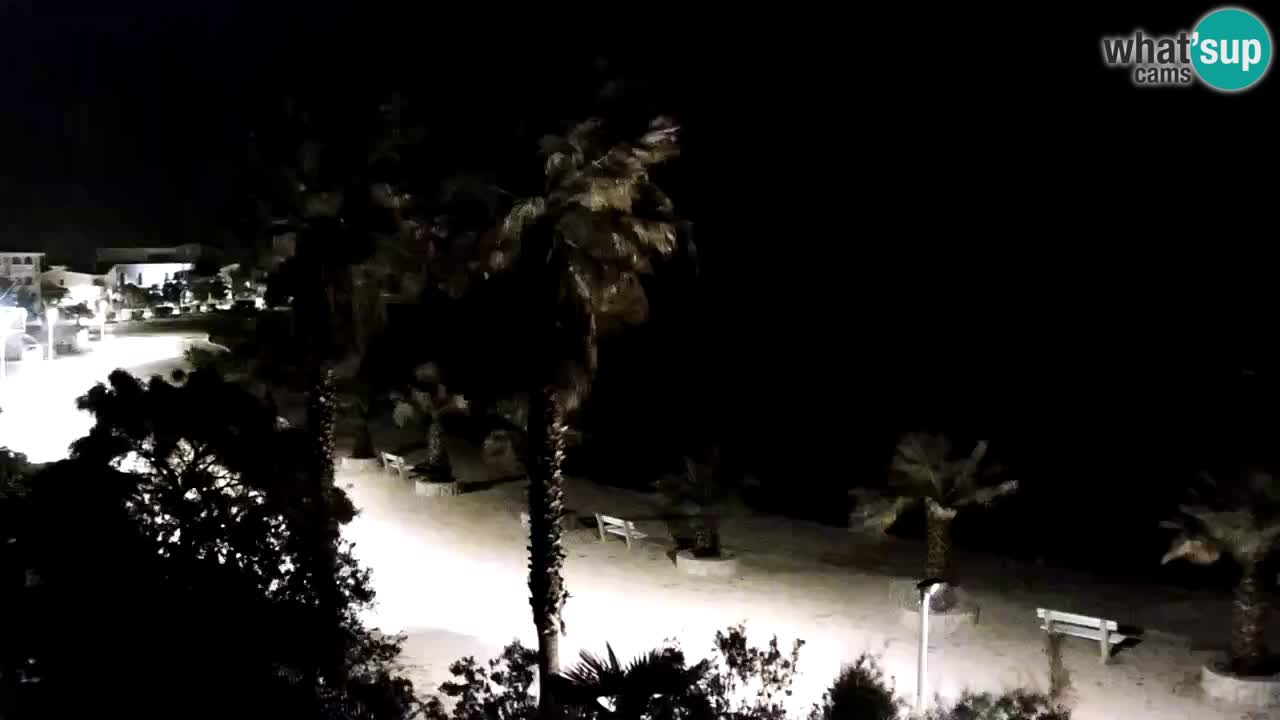 Livecam Vir beach – Dalmatia