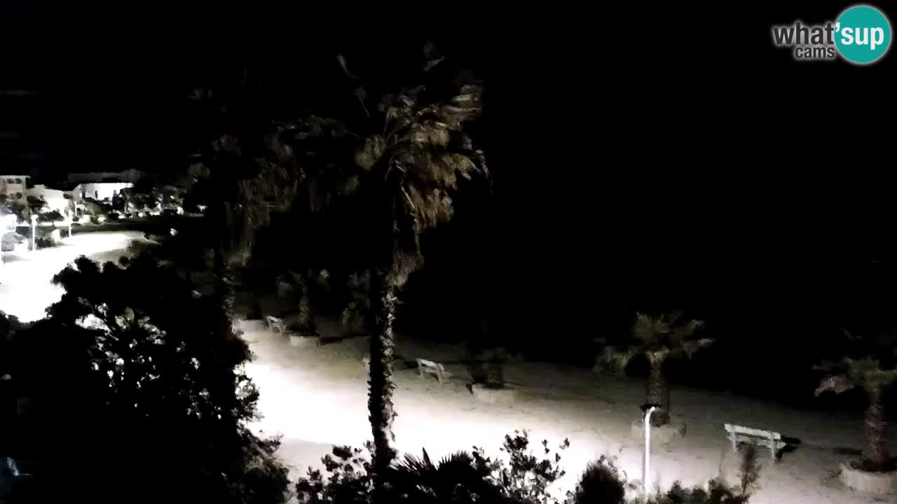 Kamera v živo Vir – Plaža