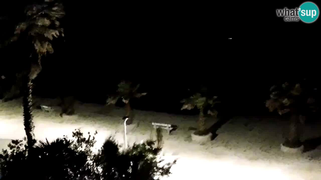 Livecam Vir beach – Dalmatia