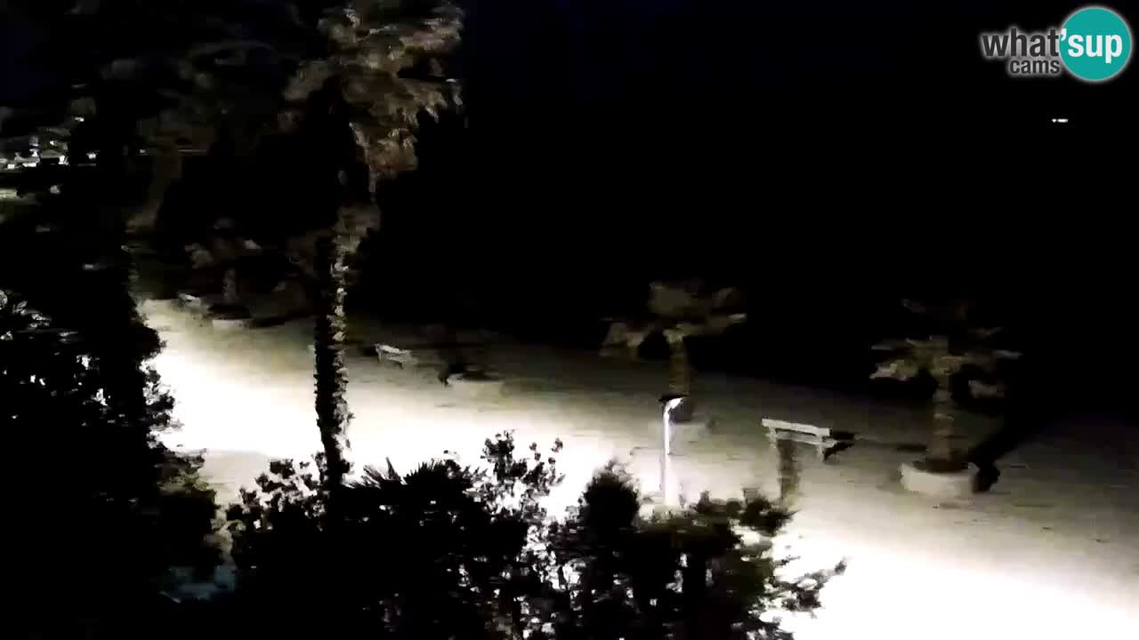 Live cam Vir – Plage