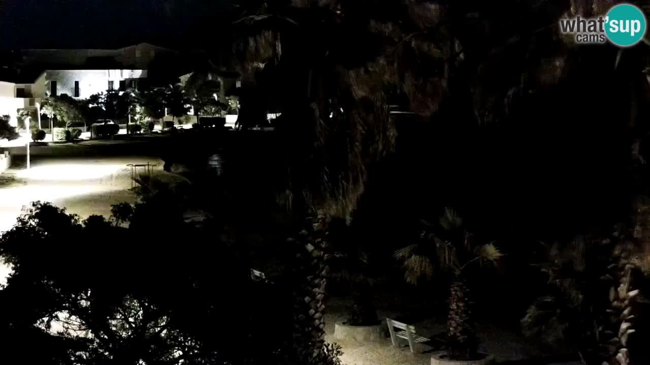 Livecam Vir beach – Dalmatia