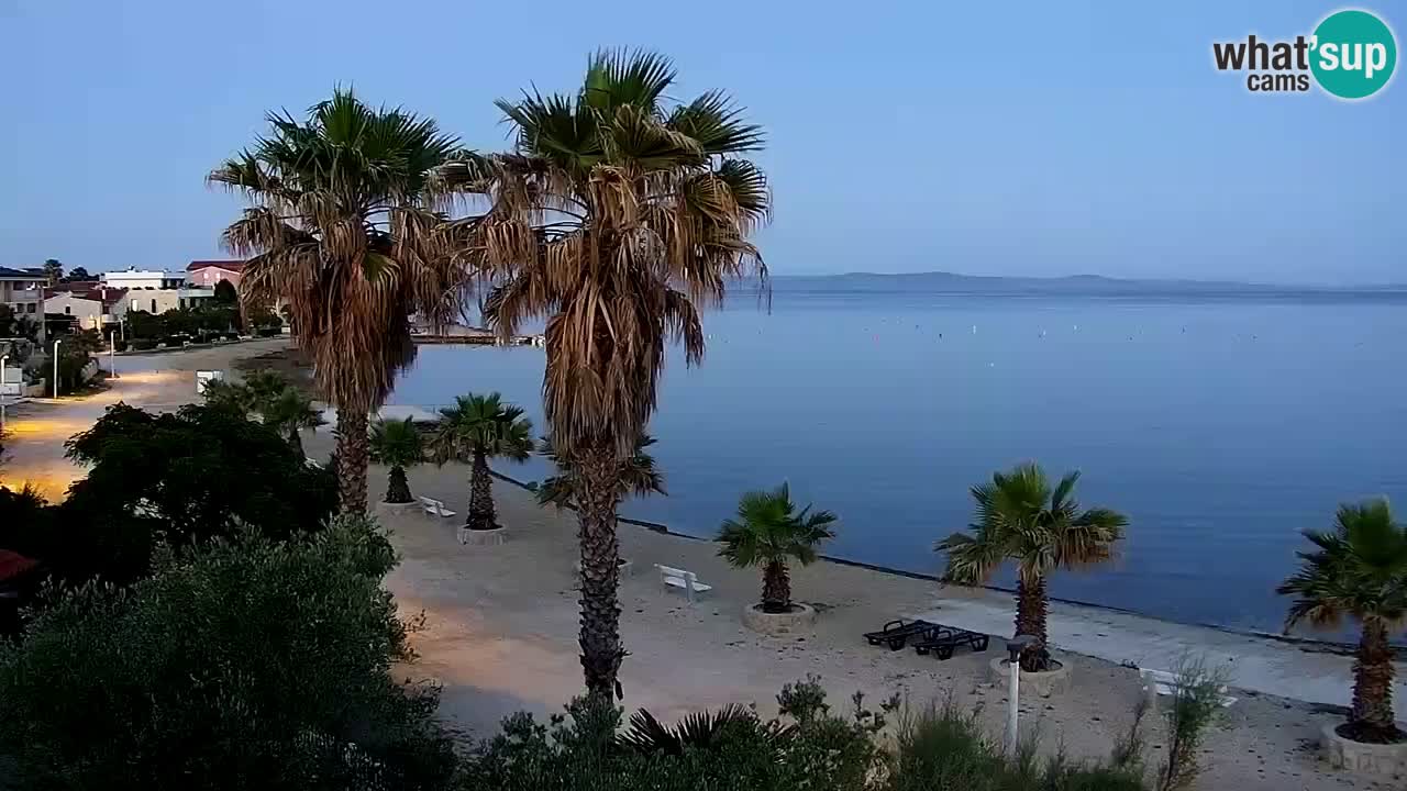 Live cam Vir – Plage