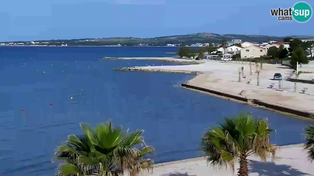 Live cam Vir – Plage
