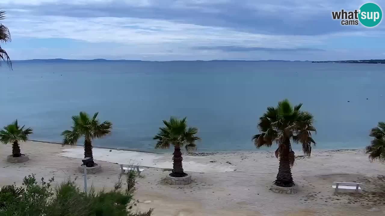 Livecam Vir beach – Dalmatia