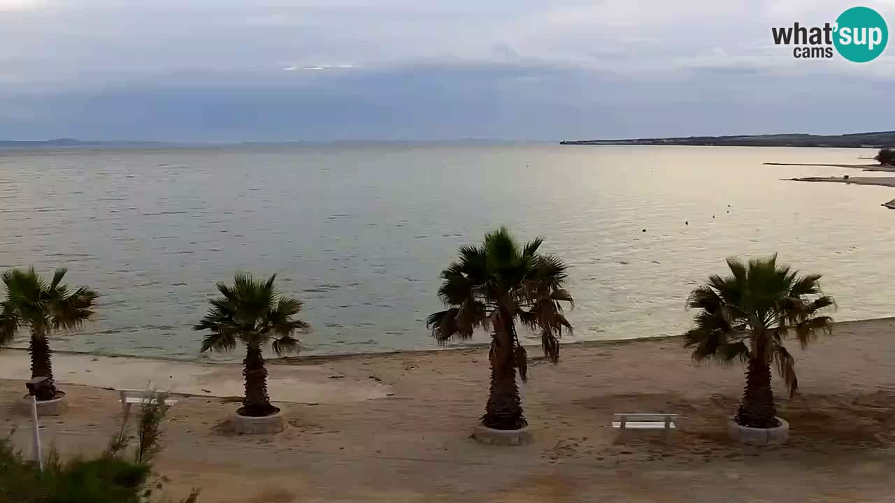 Kamera v živo Vir – Plaža