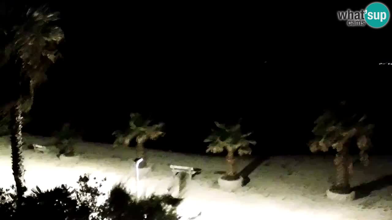 Webcam Vir – Strand