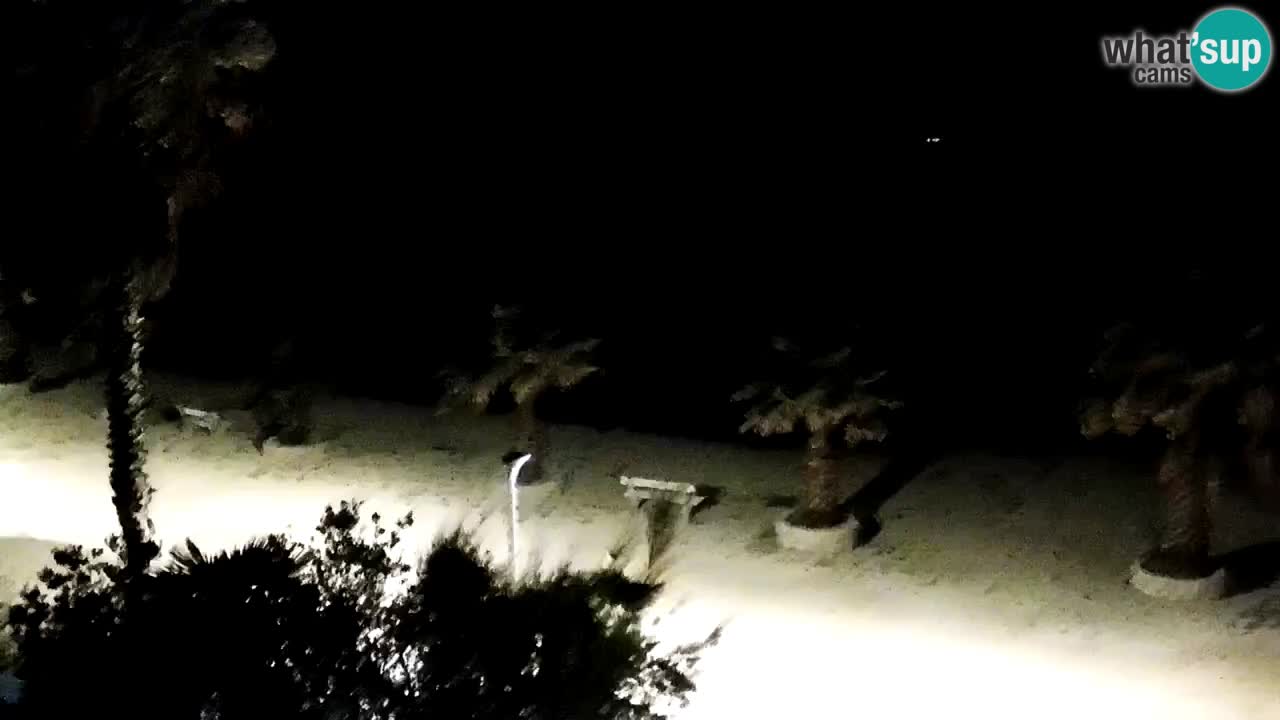 Kamera v živo Vir – Plaža