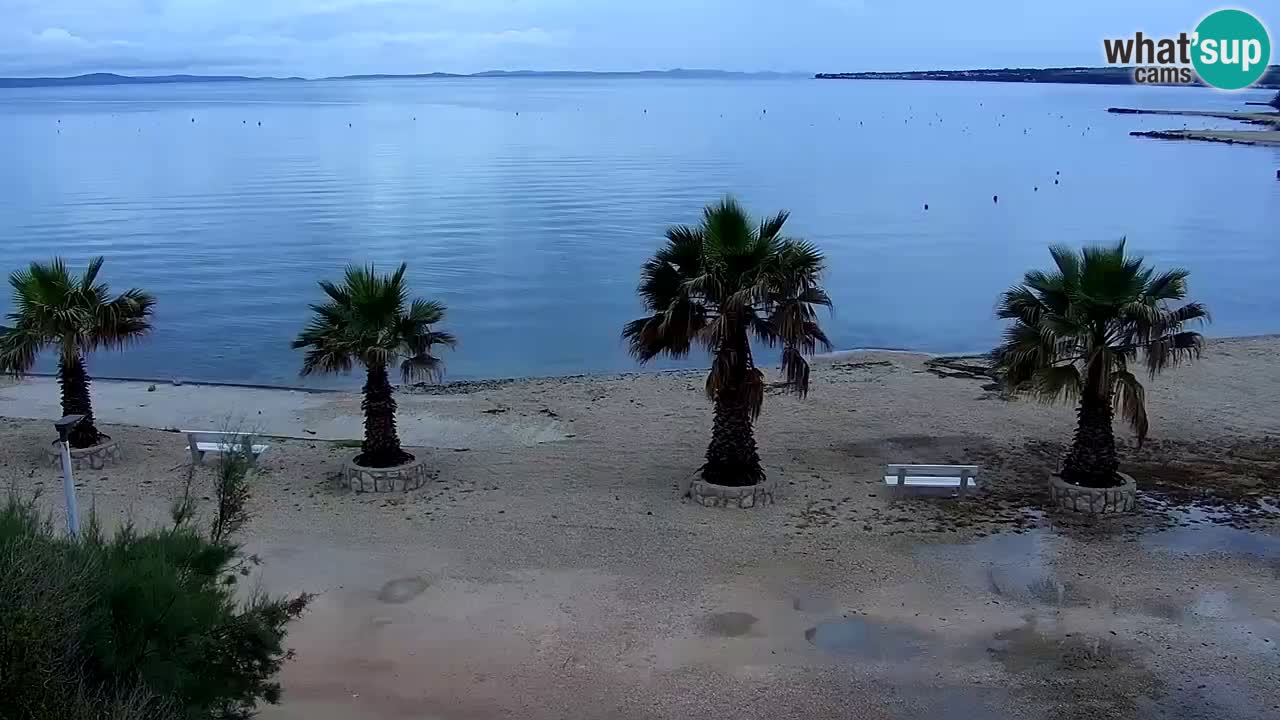 Kamera v živo Vir – Plaža