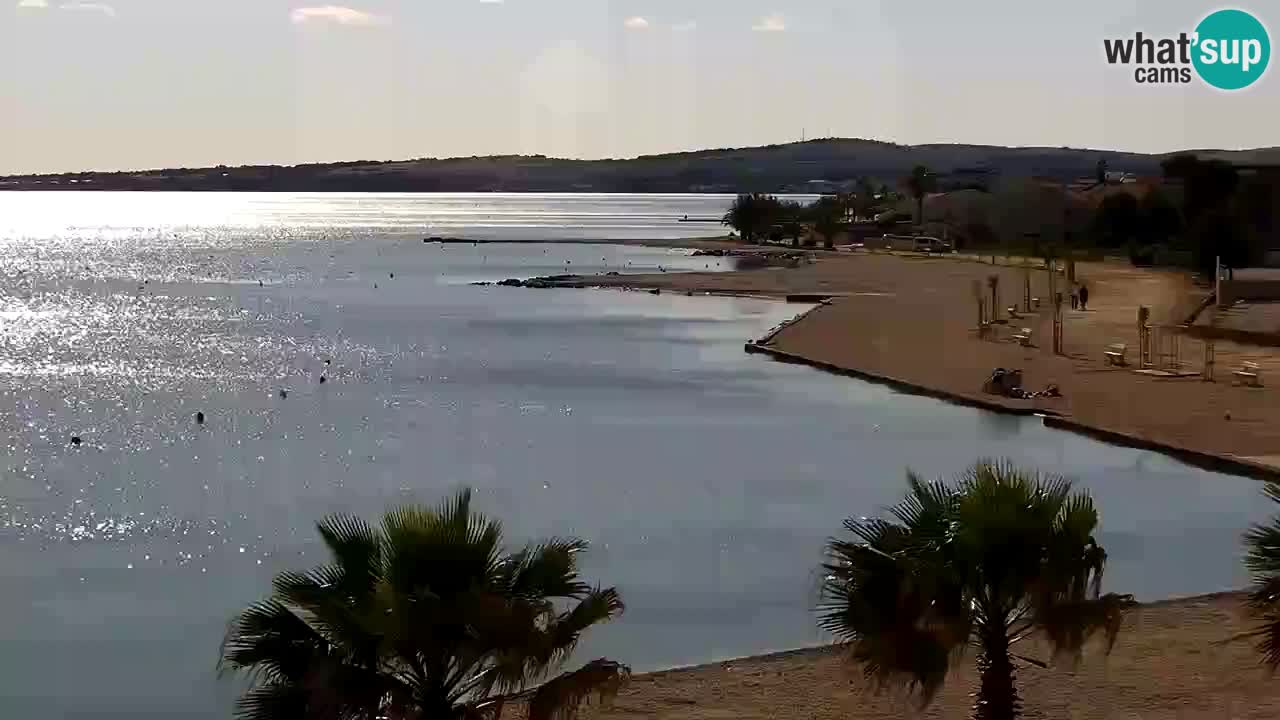 Live cam Vir – Plage