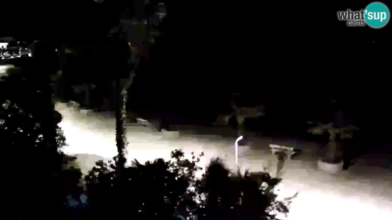 Live cam Vir – Plage