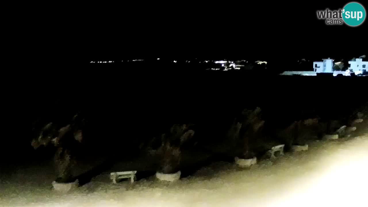 Live cam Vir – Plage
