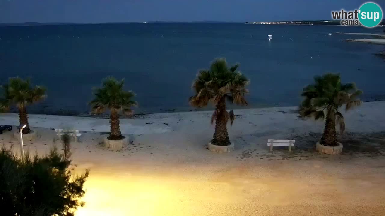 Live cam Vir – Plage