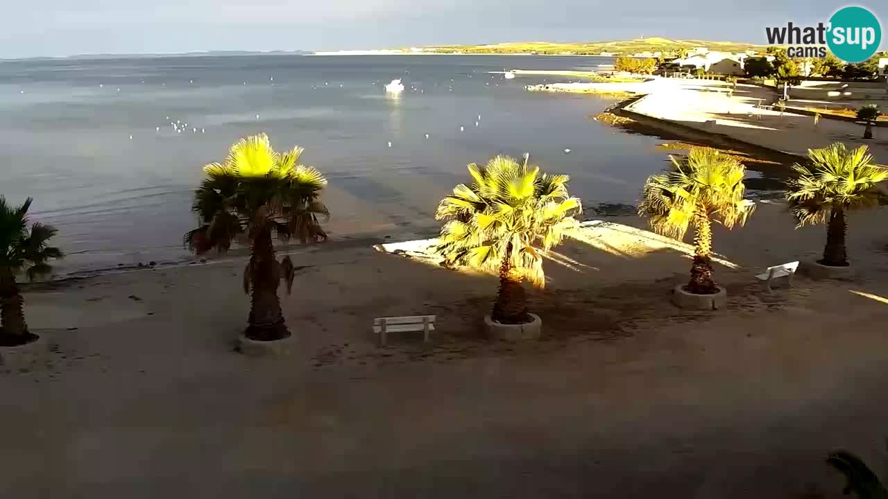 Kamera v živo Vir – Plaža