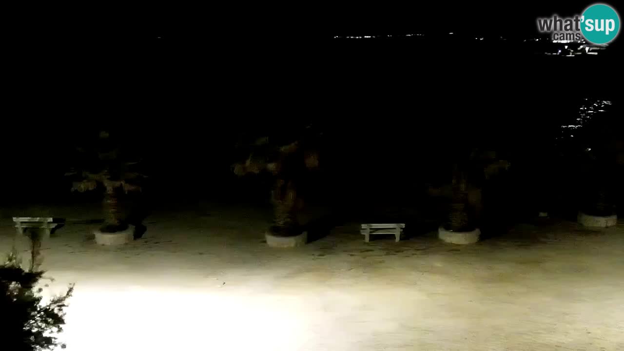 Livecam Vir beach – Dalmatia