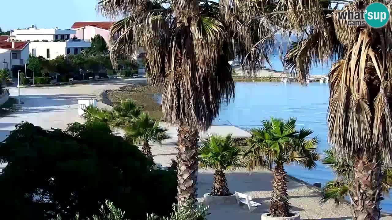 Live cam Vir – Plage