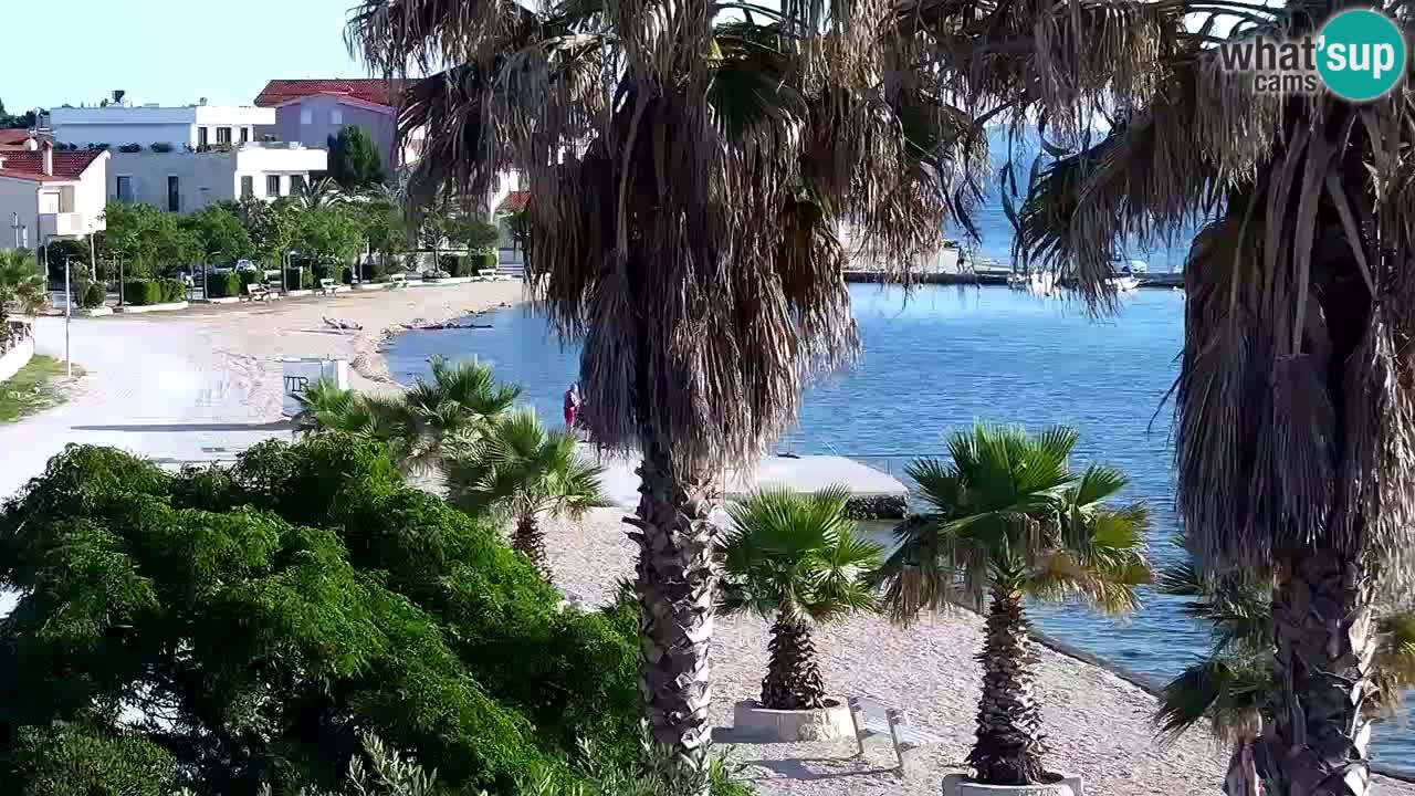 Live cam Vir – Plage