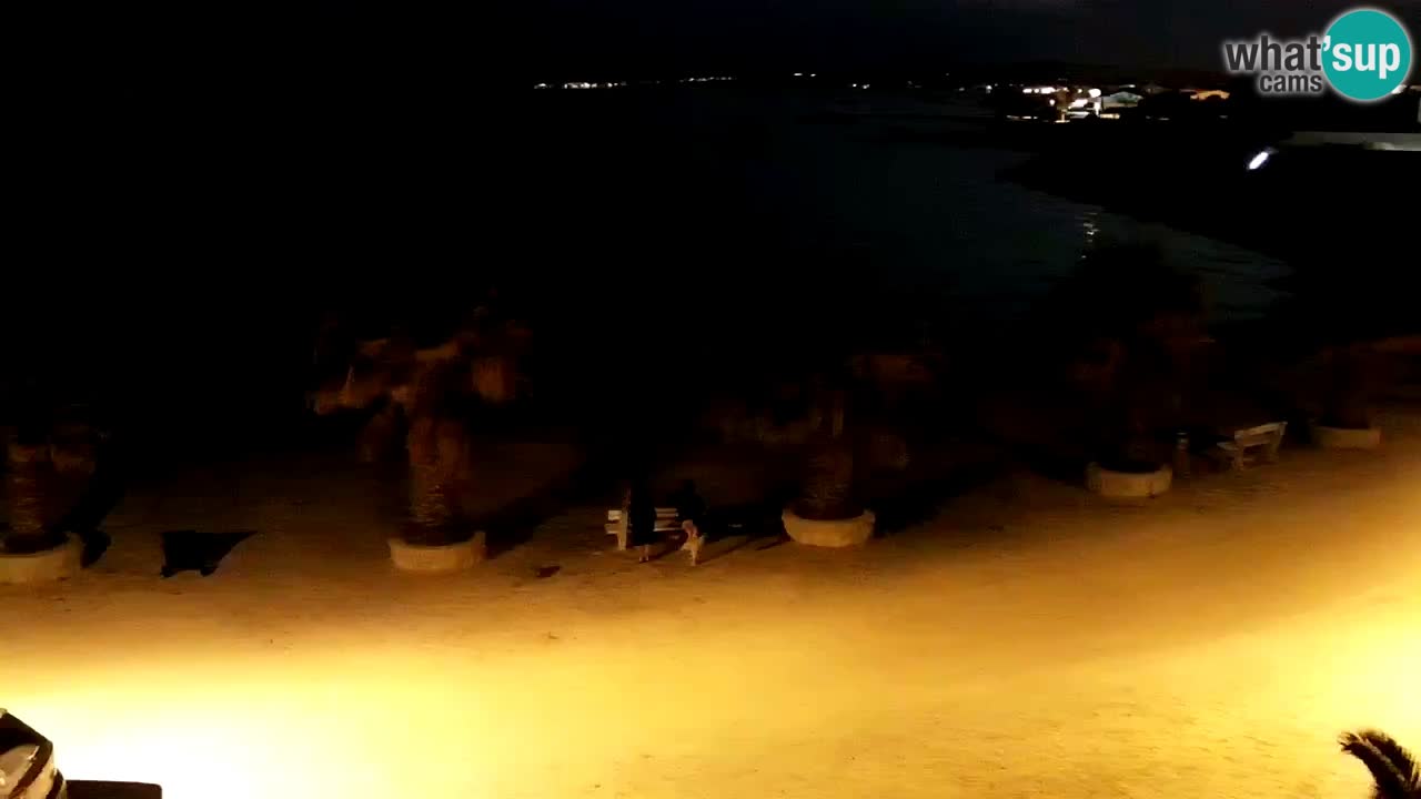 Livecam Vir beach – Dalmatia