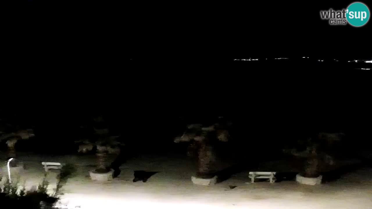 Webcam Vir – Strand