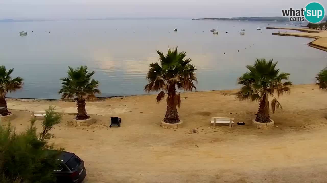 Live cam Vir – Plage