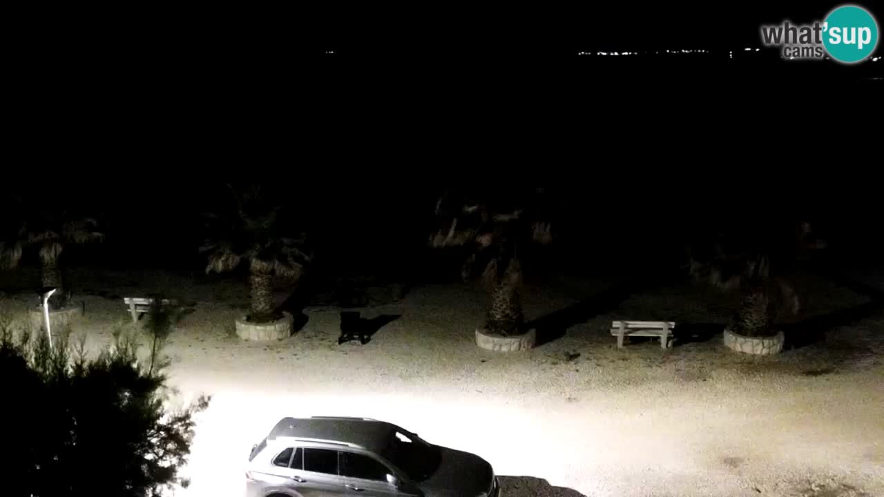 Webcam Vir – Strand