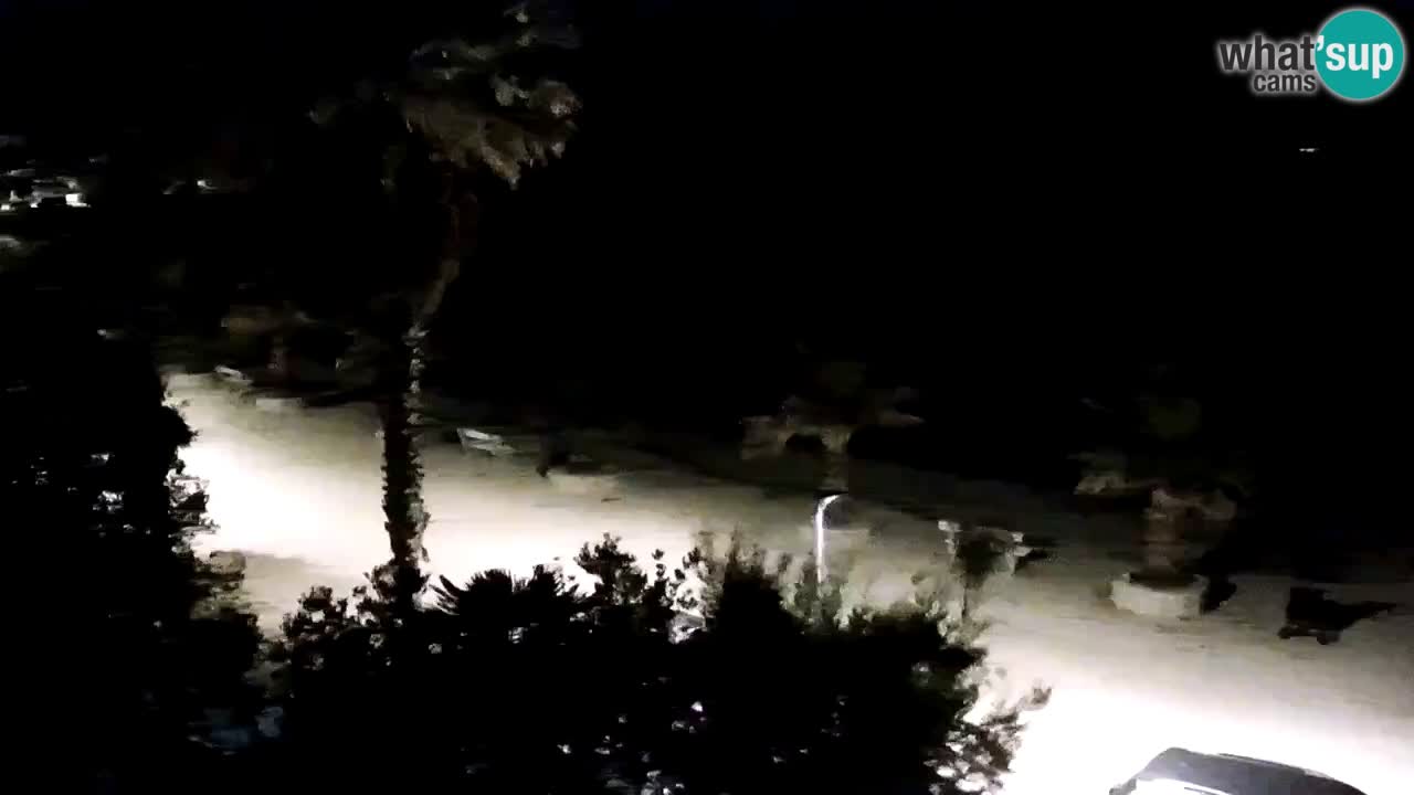 Live cam Vir – Plage