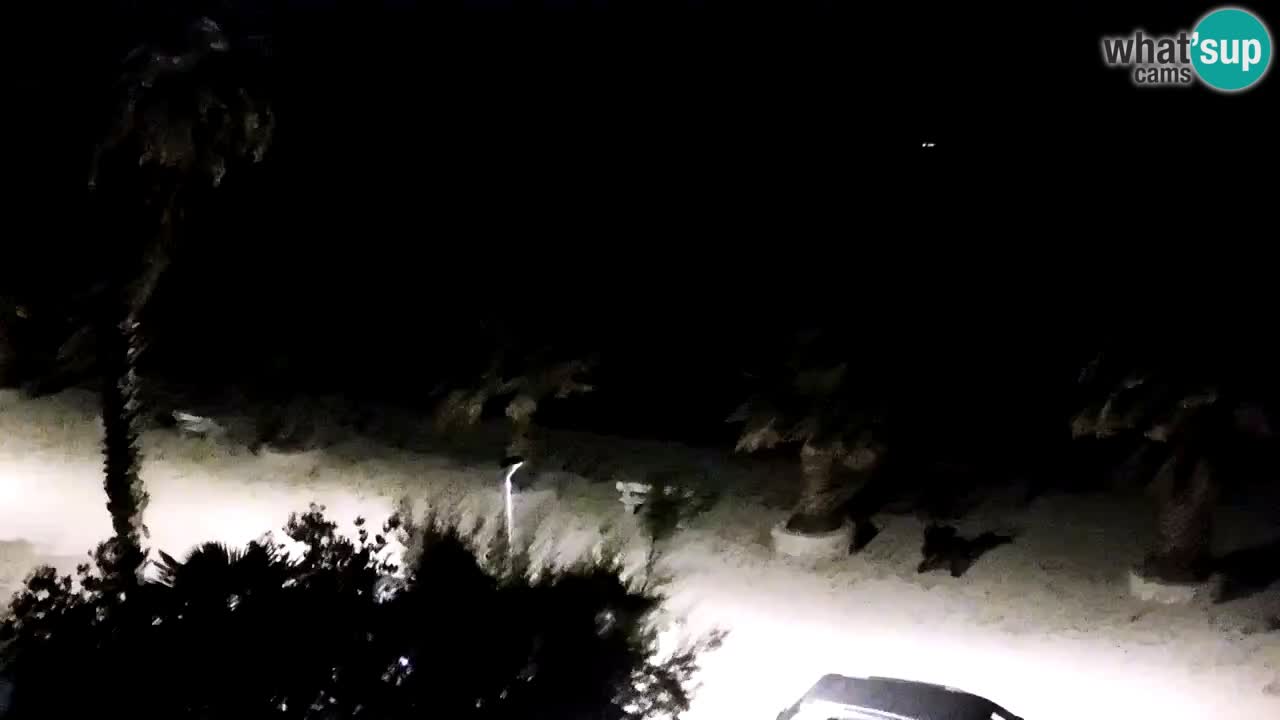 Camera en vivo Vir – Playa
