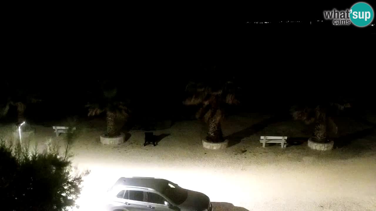 Web kamera Vir – Plaža