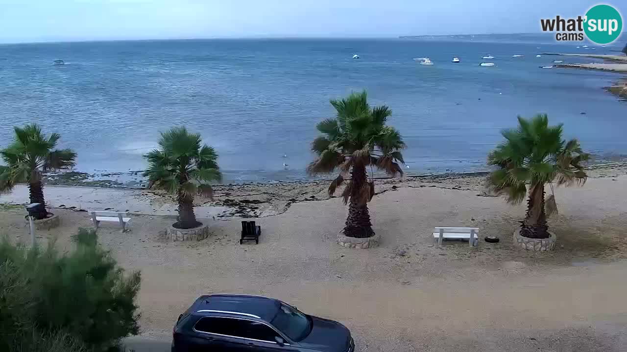 Livecam Vir beach – Dalmatia