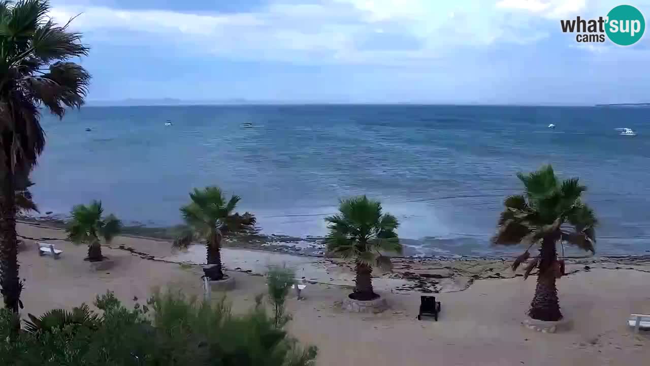 Live cam Vir – Plage